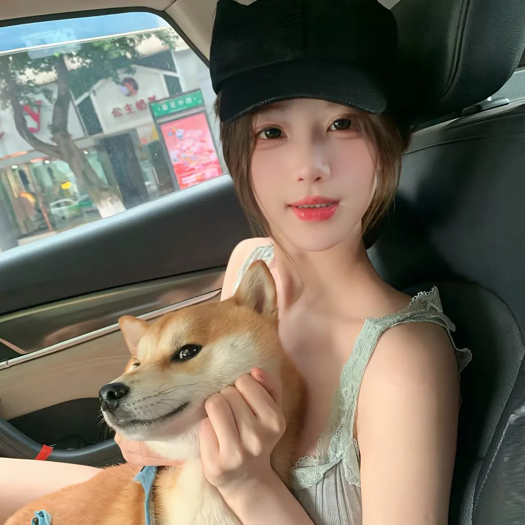 网中的太阳